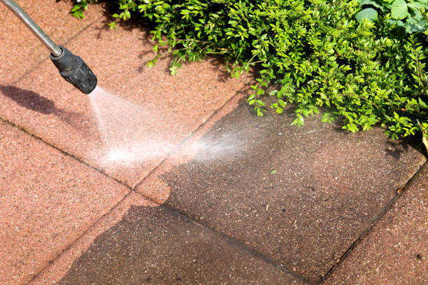 Best Local Pressure Washing Services  in Brent, FL